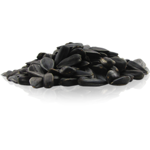 Sunflower seeds PNG-42944